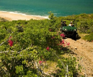  Baja California in buggy 